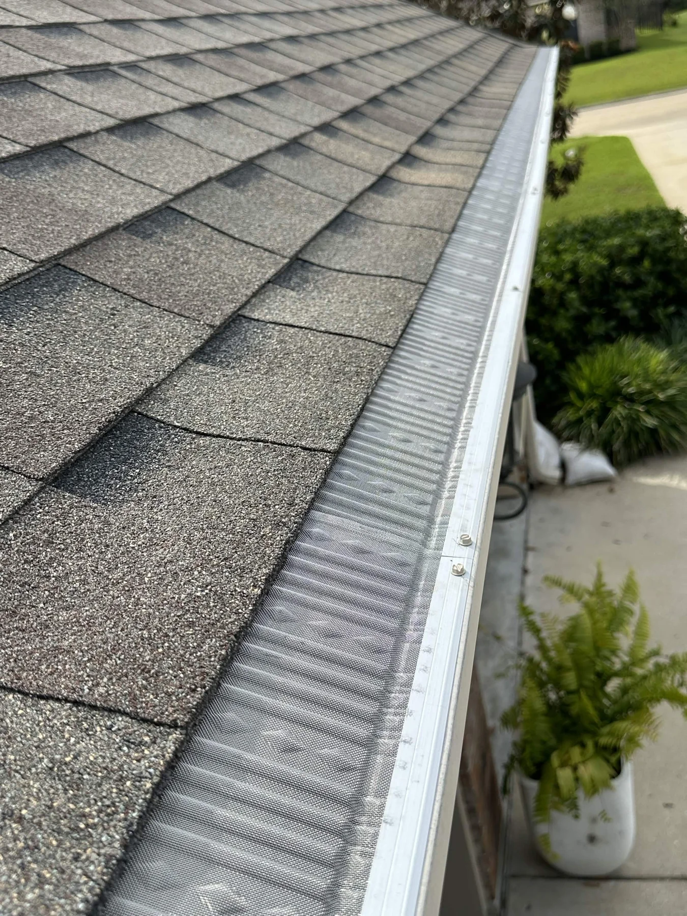 Leaf protection covering a gutter beside shingles