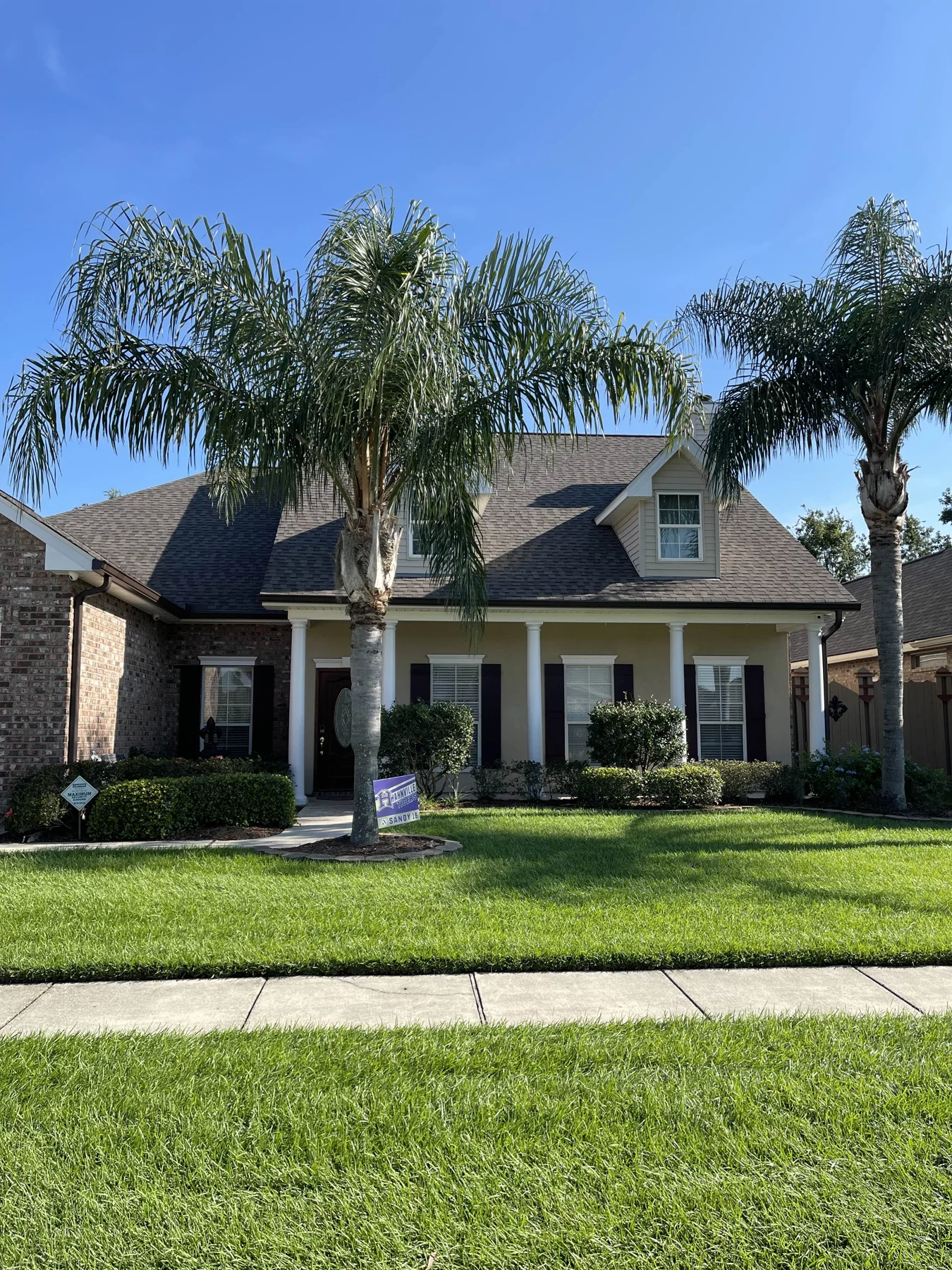 Residential gutter project with palm landscaping