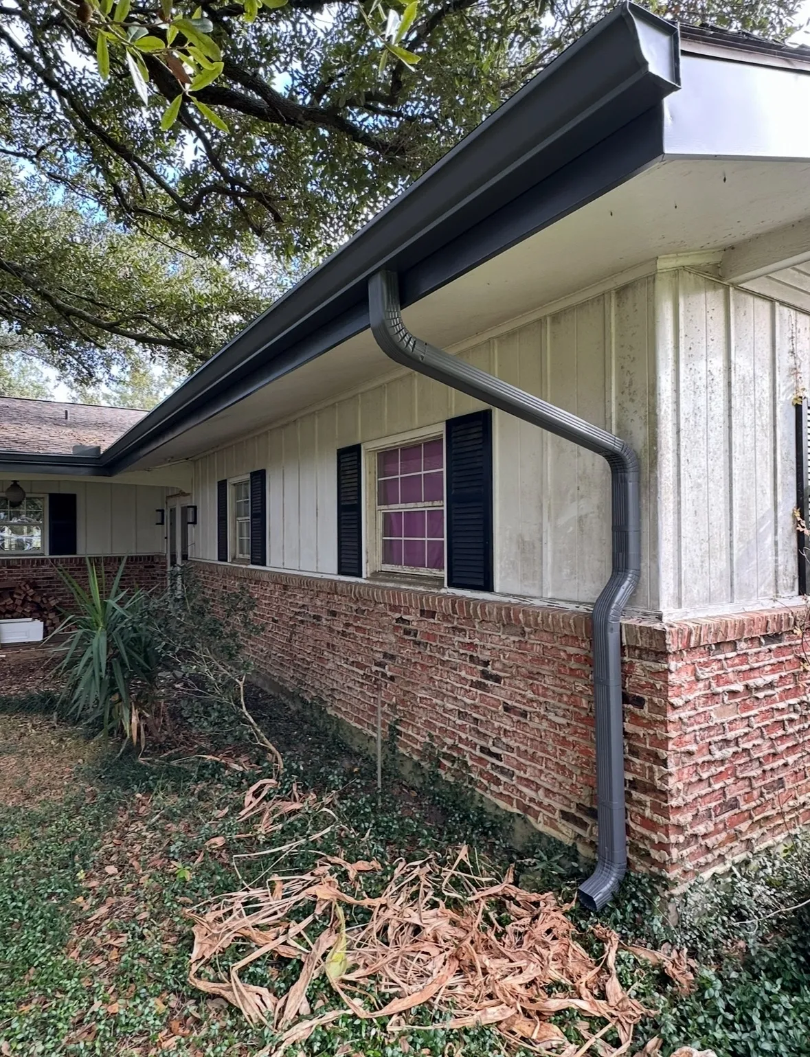 Gutter and downspout beneath trees beside a brick home